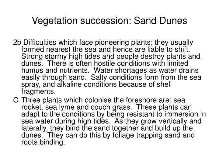 vegetation succession sand dunes