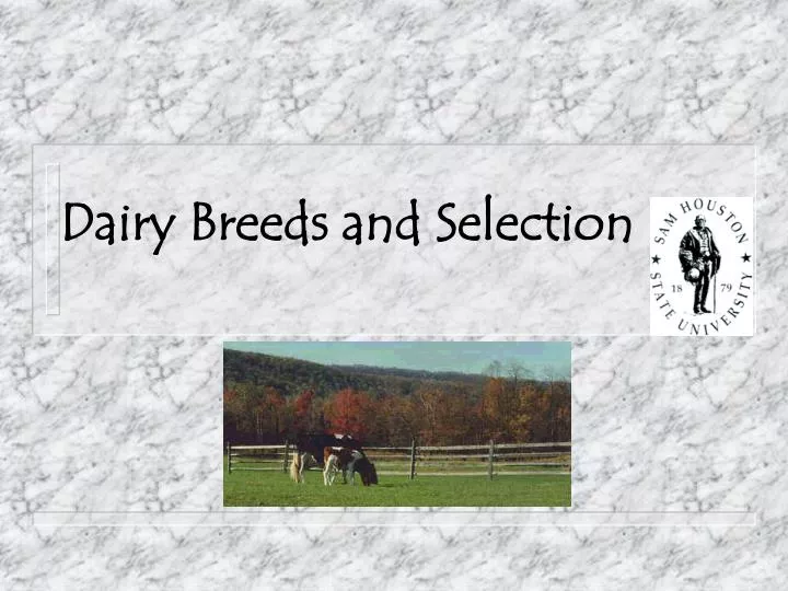 dairy breeds and selection