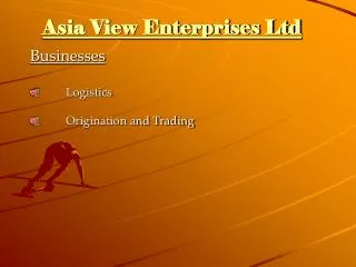 Asia View Enterprises Ltd