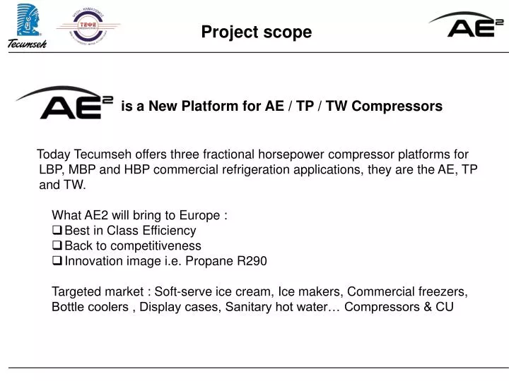 project scope