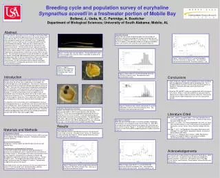 Breeding cycle and population survey of euryhaline Syngnathus scovelli in a freshwater portion of Mobile Bay