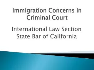 Immigration Concerns in Criminal Court