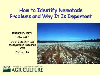 How to Identify Nematode Problems and Why It Is Important