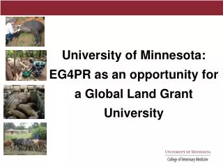 University of Minnesota: EG4PR as an opportunity for a Global Land Grant University