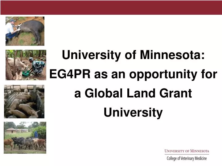 university of minnesota eg4pr as an opportunity for a global land grant university