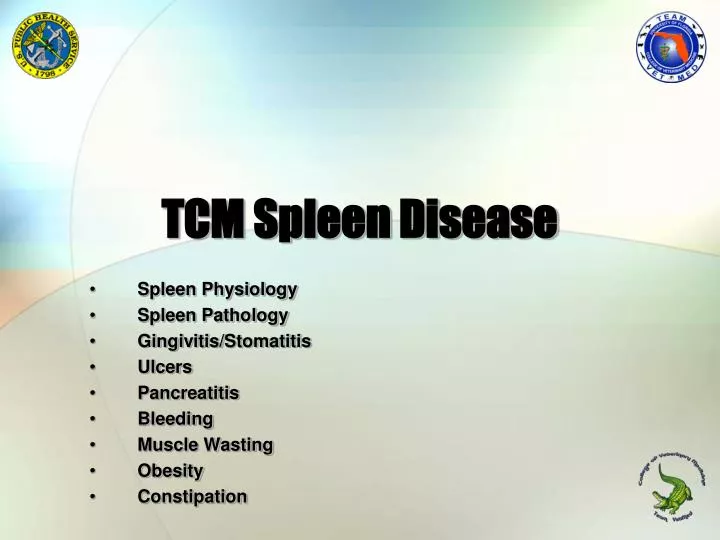 tcm spleen disease