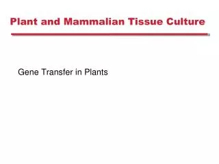 Plant and Mammalian Tissue Culture