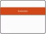Evolution - slide 1