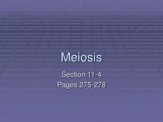 Meiosis