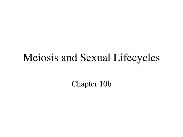 meiosis and sexual lifecycles
