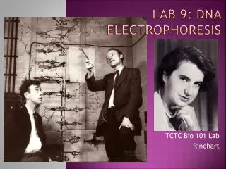 Lab 9: Dna eLECTROPHORESIS