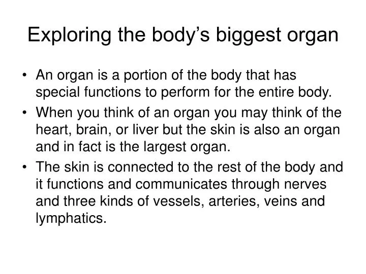 exploring the body s biggest organ