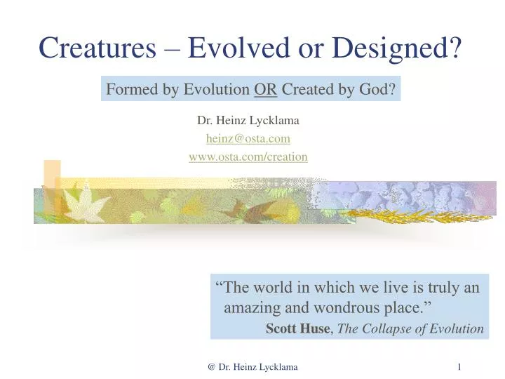 creatures evolved or designed