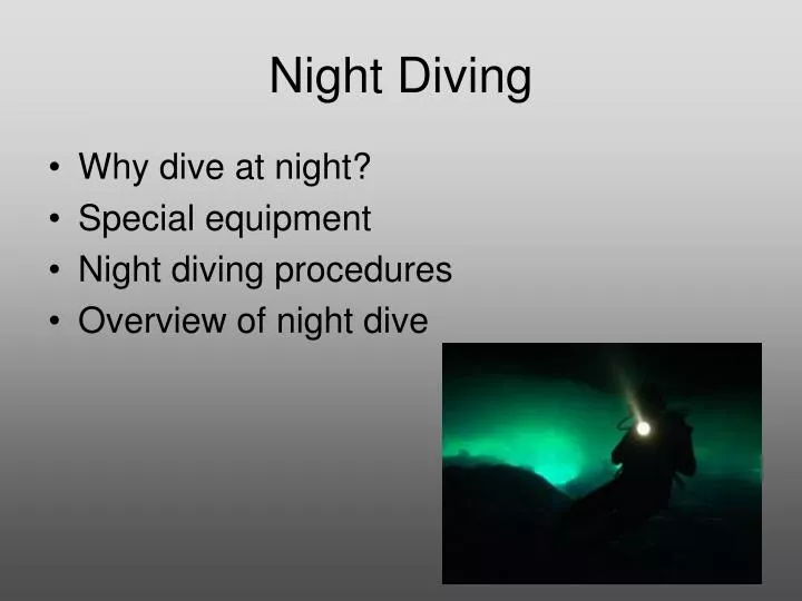 night diving