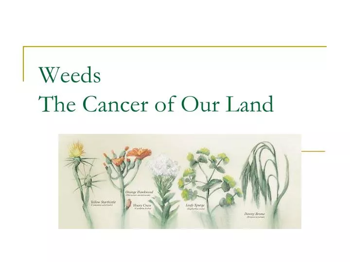 weeds the cancer of our land