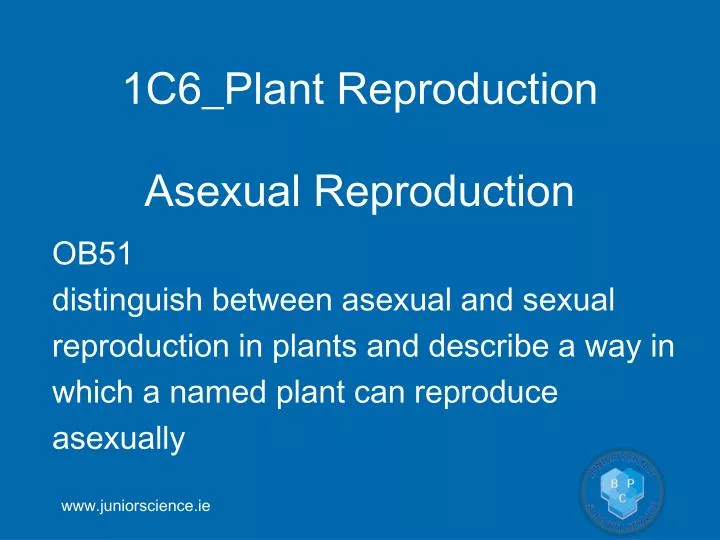 1c6 plant reproduction
