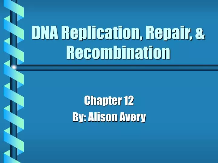 dna replication repair recombination