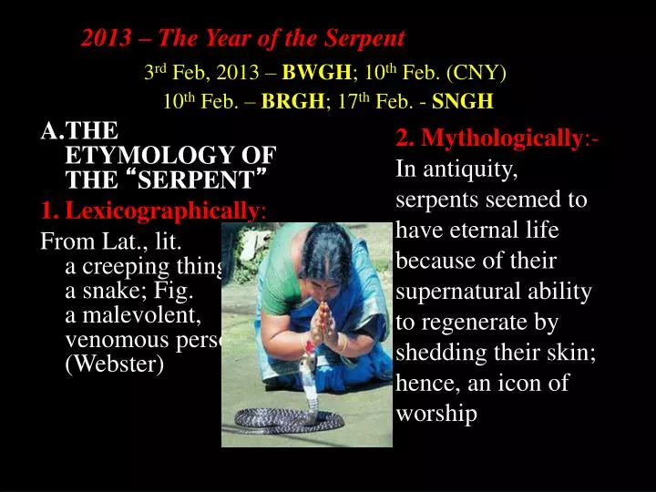 2013 the year of the serpent