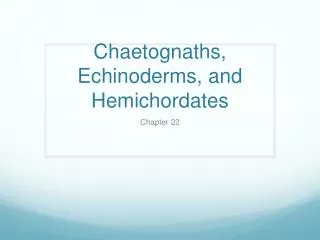 Chaetognaths, Echinoderms, and Hemichordates