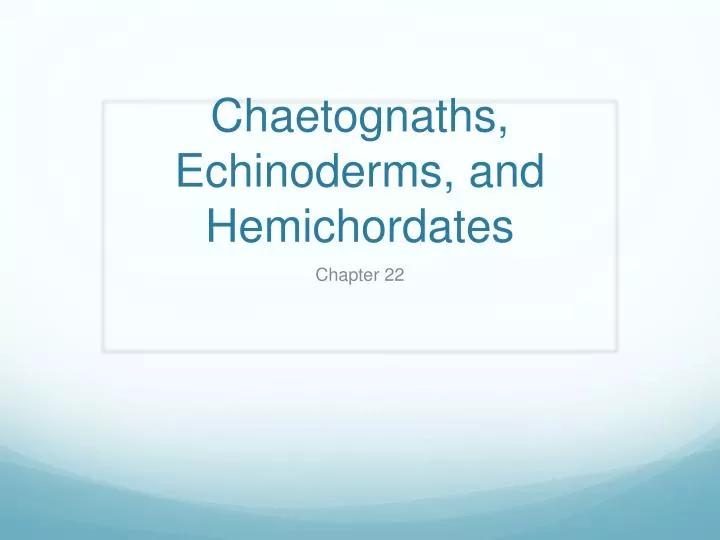 chaetognaths echinoderms and hemichordates