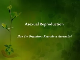 Asexual Reproduction