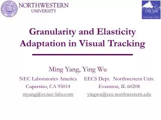 Granularity and Elasticity Adaptation in Visual Tracking