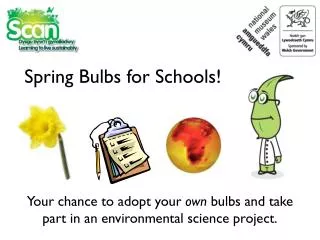 Your chance to adopt your own bulbs and take part in an environmental science project.