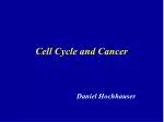 Cell Cycle and Cancer - slide 1