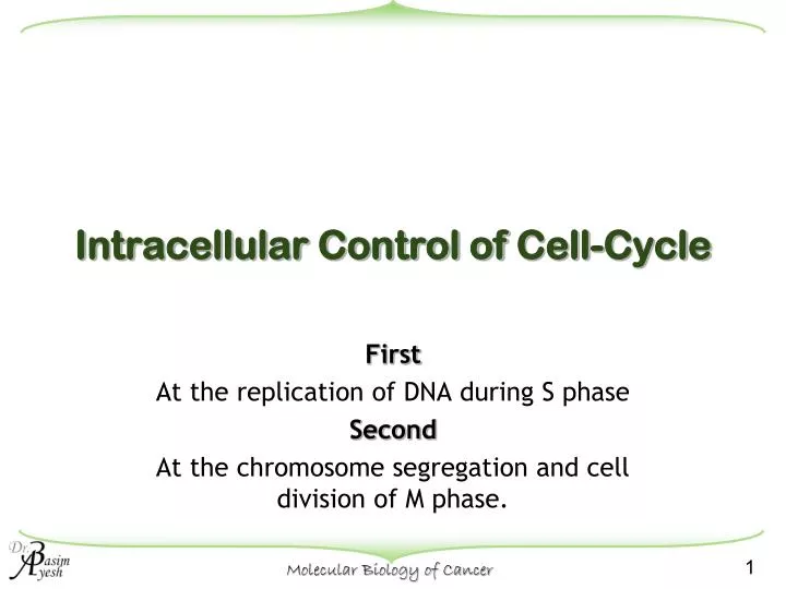 intracellular control of cell cycle