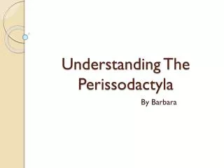 Understanding The Perissodactyla