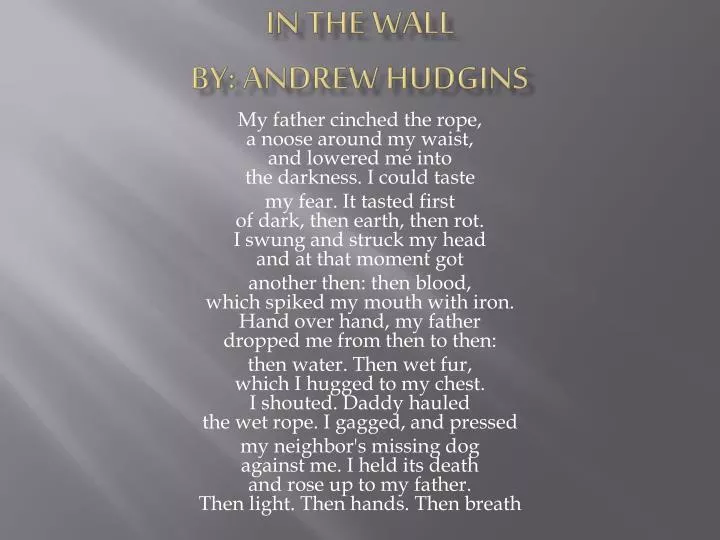 in the wall by andrew hudgins