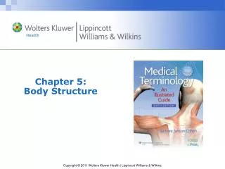 Chapter 5: Body Structure