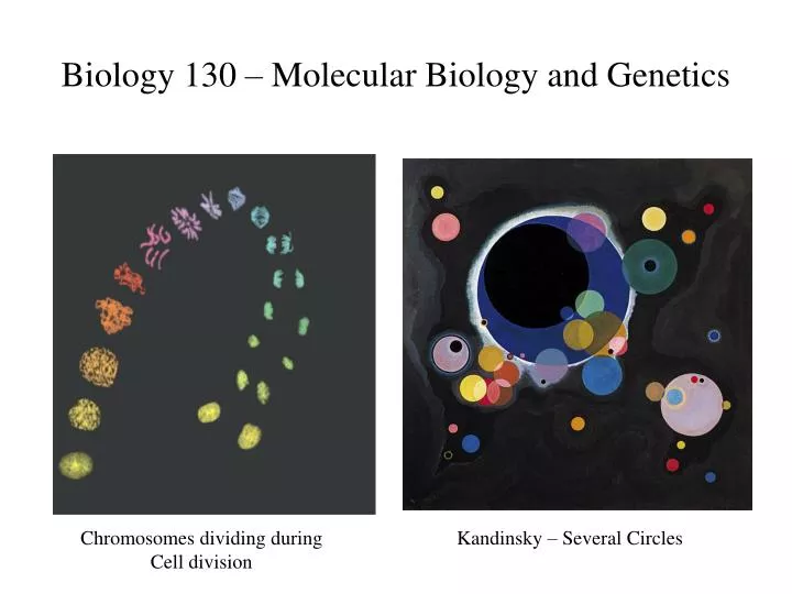 biology 130 molecular biology and genetics