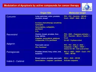 Modulation of Apoptosis by active compounds for cancer therapy