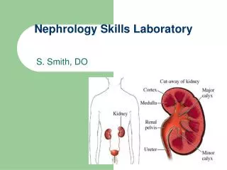 Nephrology Skills Laboratory