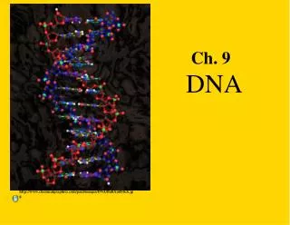 DNA