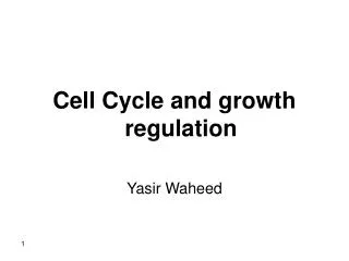 Cell Cycle and growth regulation Yasir Waheed