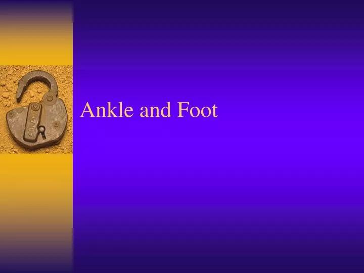 ankle and foot