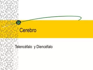 cerebro