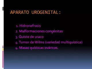 aparato urogenital