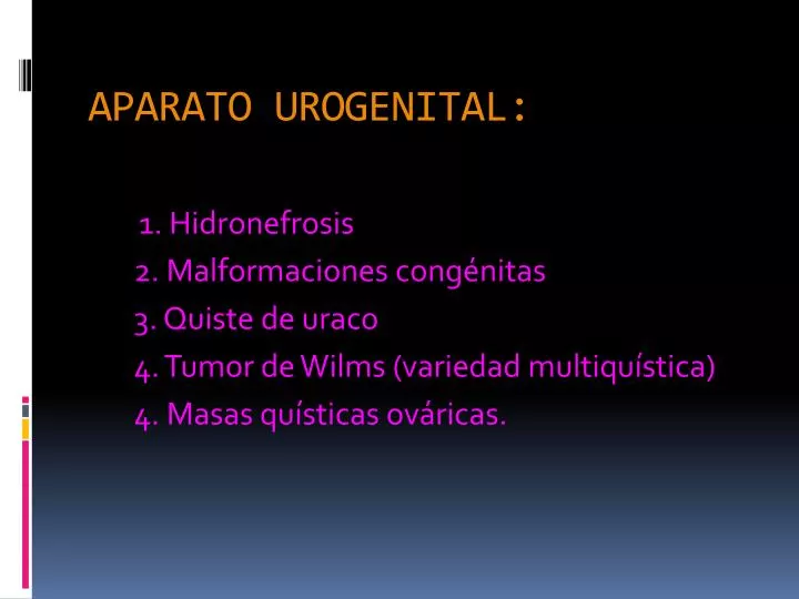 aparato urogenital