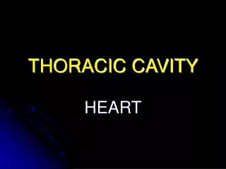 THORACIC CAVITY