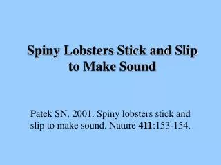 Spiny Lobsters Stick and Slip to Make Sound