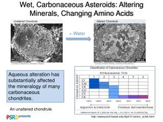 Wet, Carbonaceous Asteroids: Altering Minerals, Changing Amino Acids