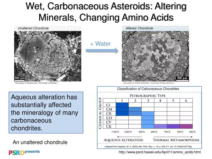 wet carbonaceous asteroids altering minerals changing amino acids