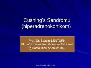 cushing s sendromu hiperadrenokortikom