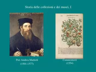 Pier Andrea Mattioli (1501-1577)
