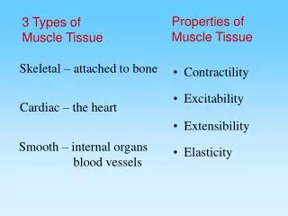 Contractility