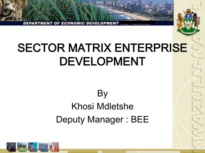 sector matrix enterprise development