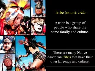 A tribe is a group of people who share the same family and culture.